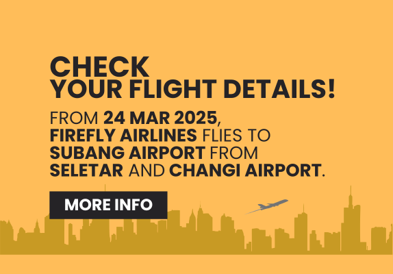 New Flight Information